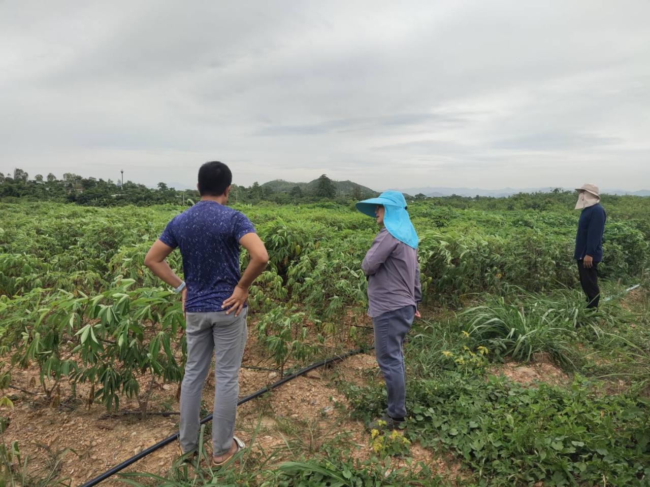 ภาพประกอบที่ 1