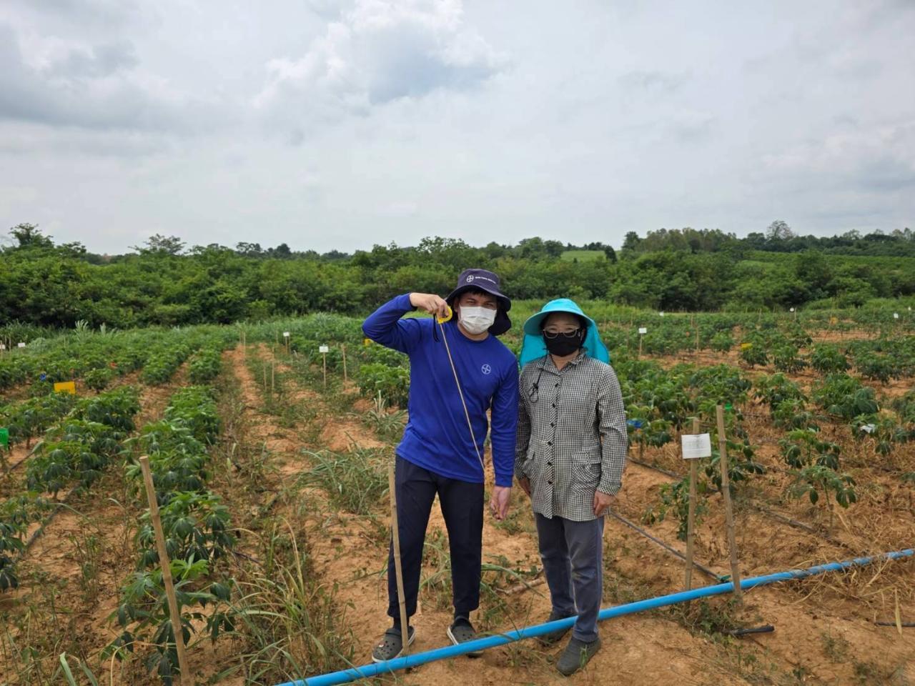 ภาพประกอบที่ 0