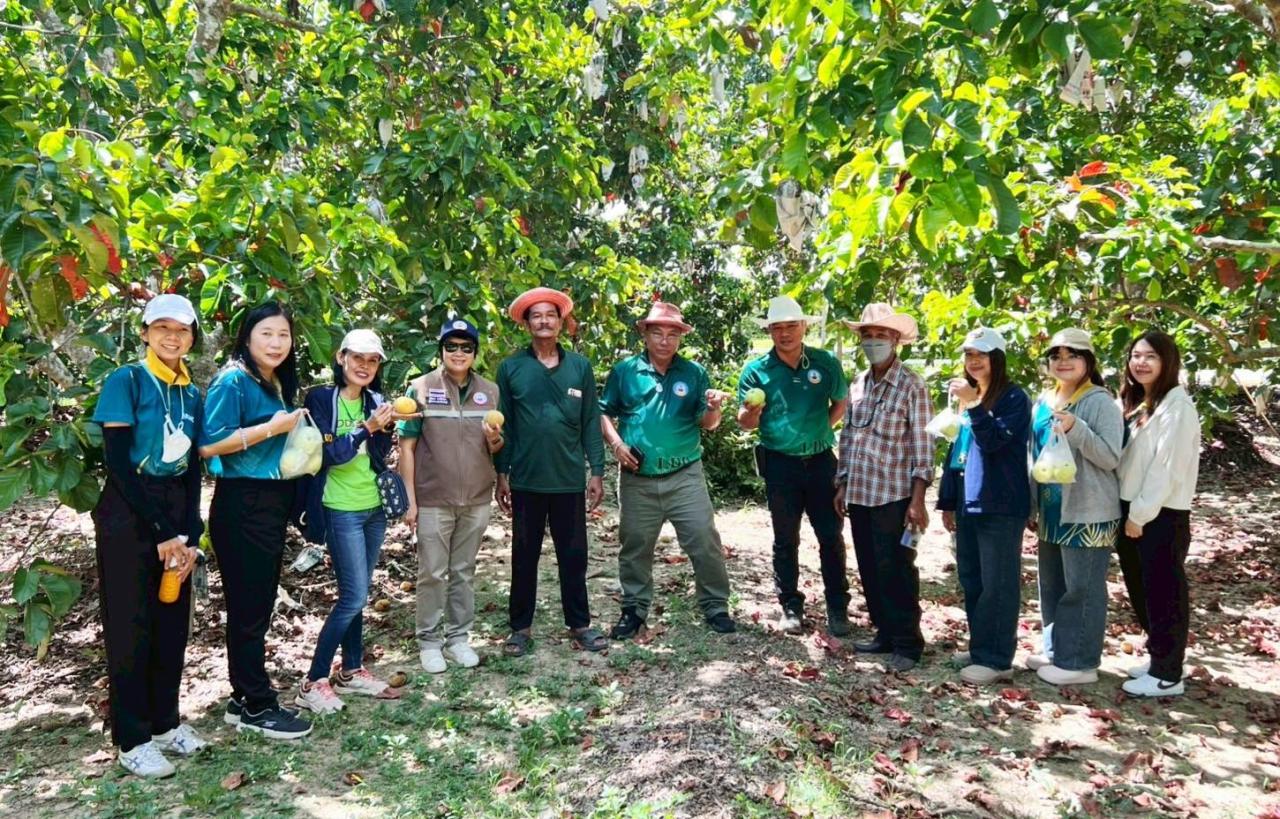 ภาพประกอบที่ 6