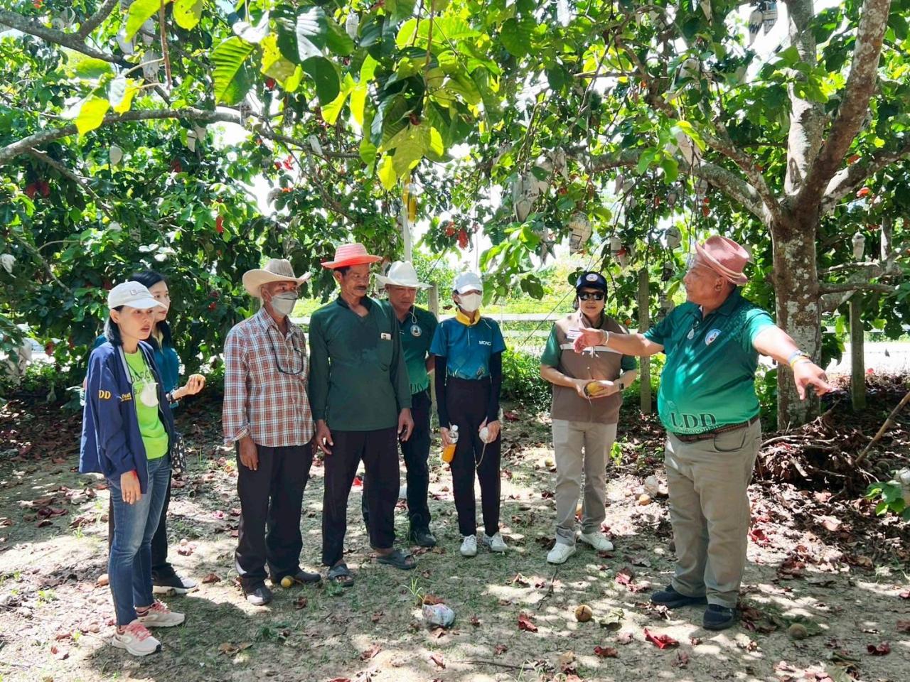 ภาพประกอบที่ 7