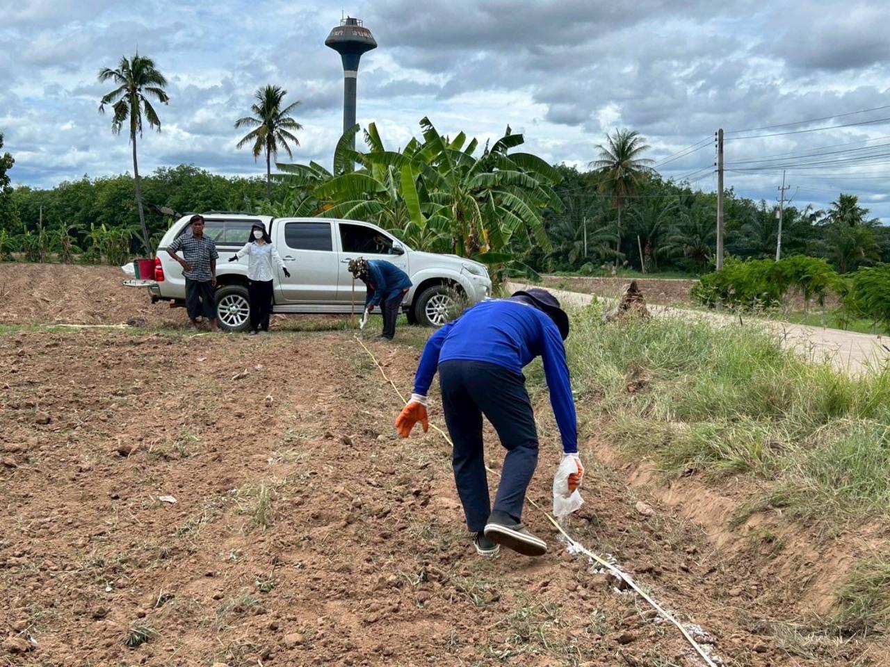 ภาพประกอบที่ 0