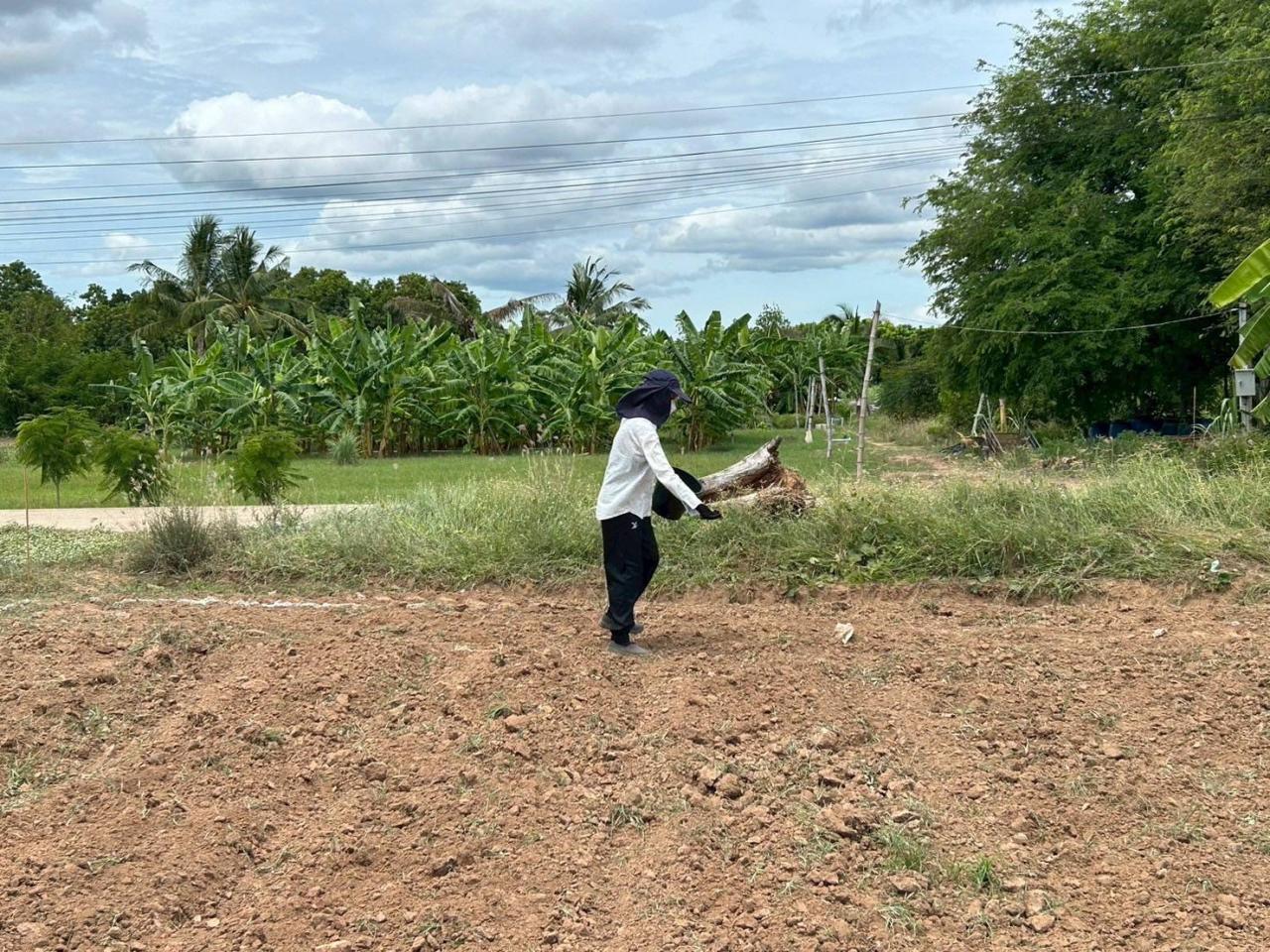 ภาพประกอบที่ 1