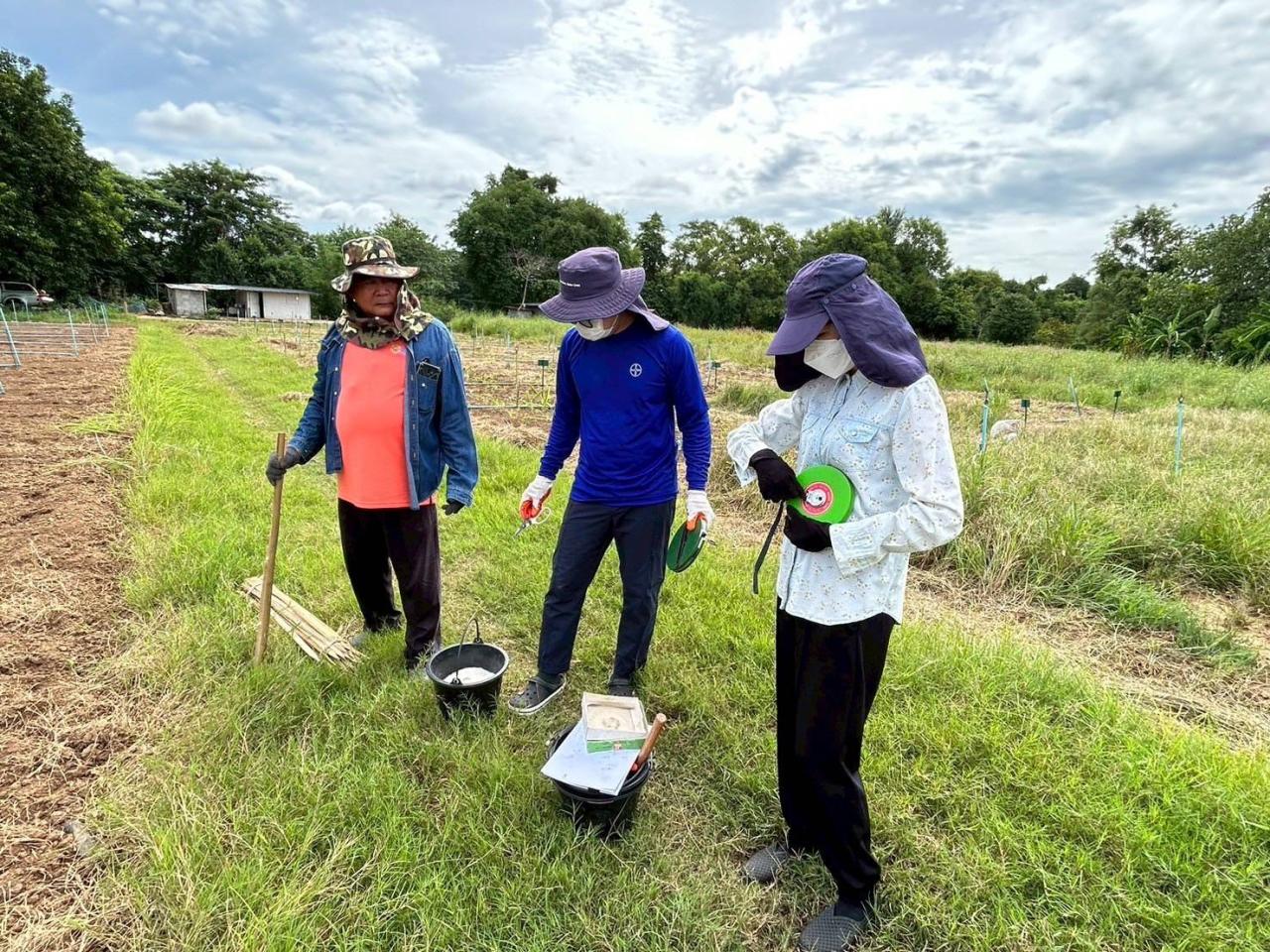 ภาพประกอบที่ 2