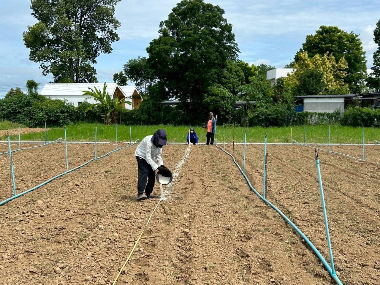 ภาพประกอบที่ 3