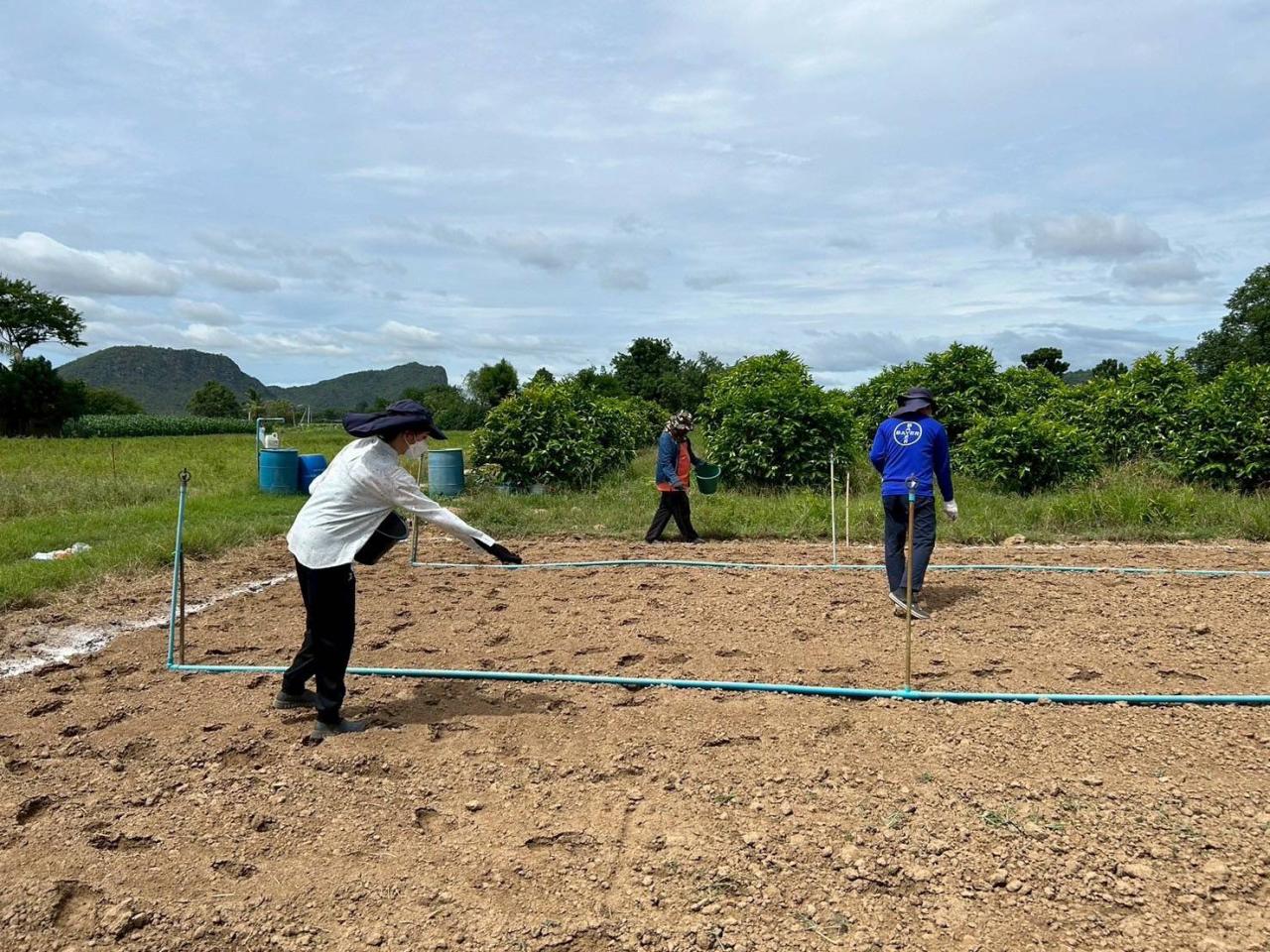 ภาพประกอบที่ 4