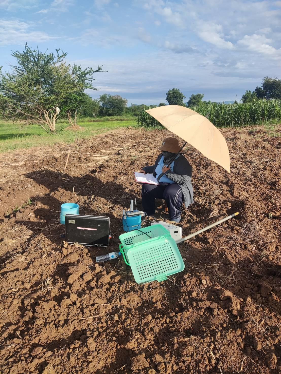 ภาพประกอบที่ 1