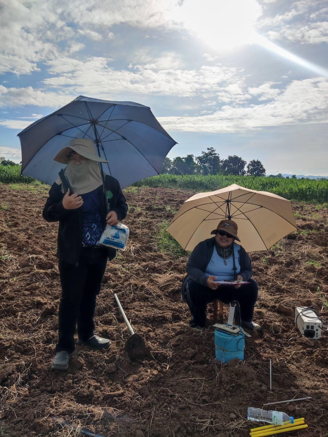 ภาพประกอบที่ 2