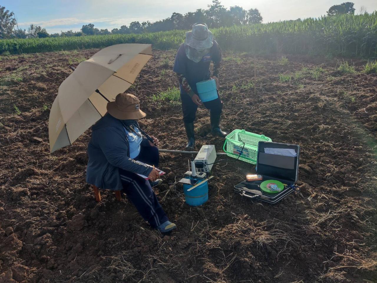 ภาพประกอบที่ 3
