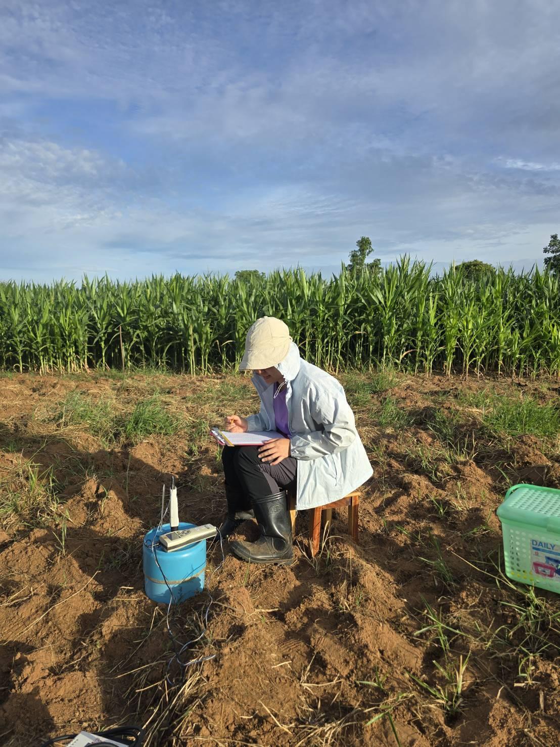 ภาพประกอบที่ 4