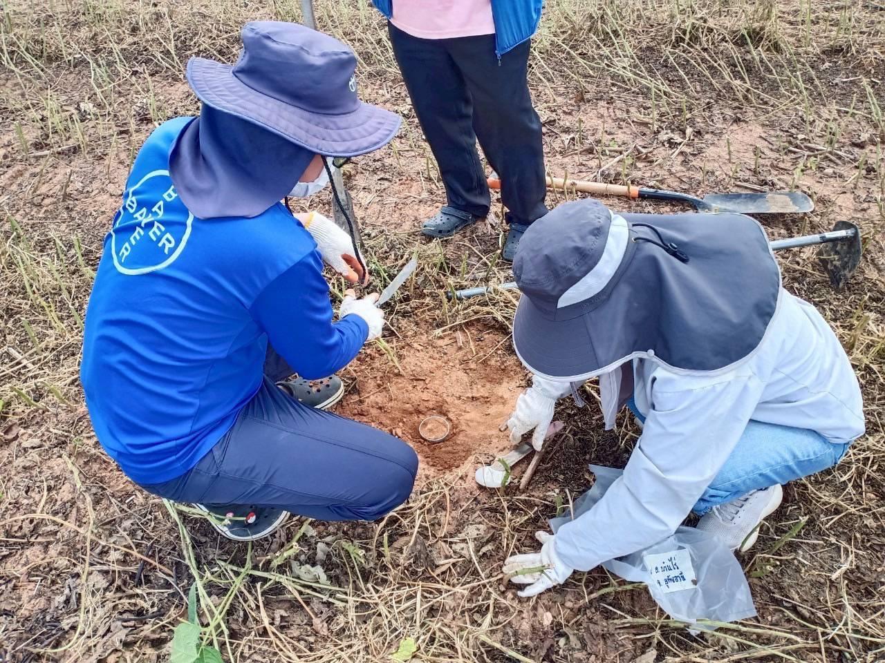 ภาพประกอบที่ 1
