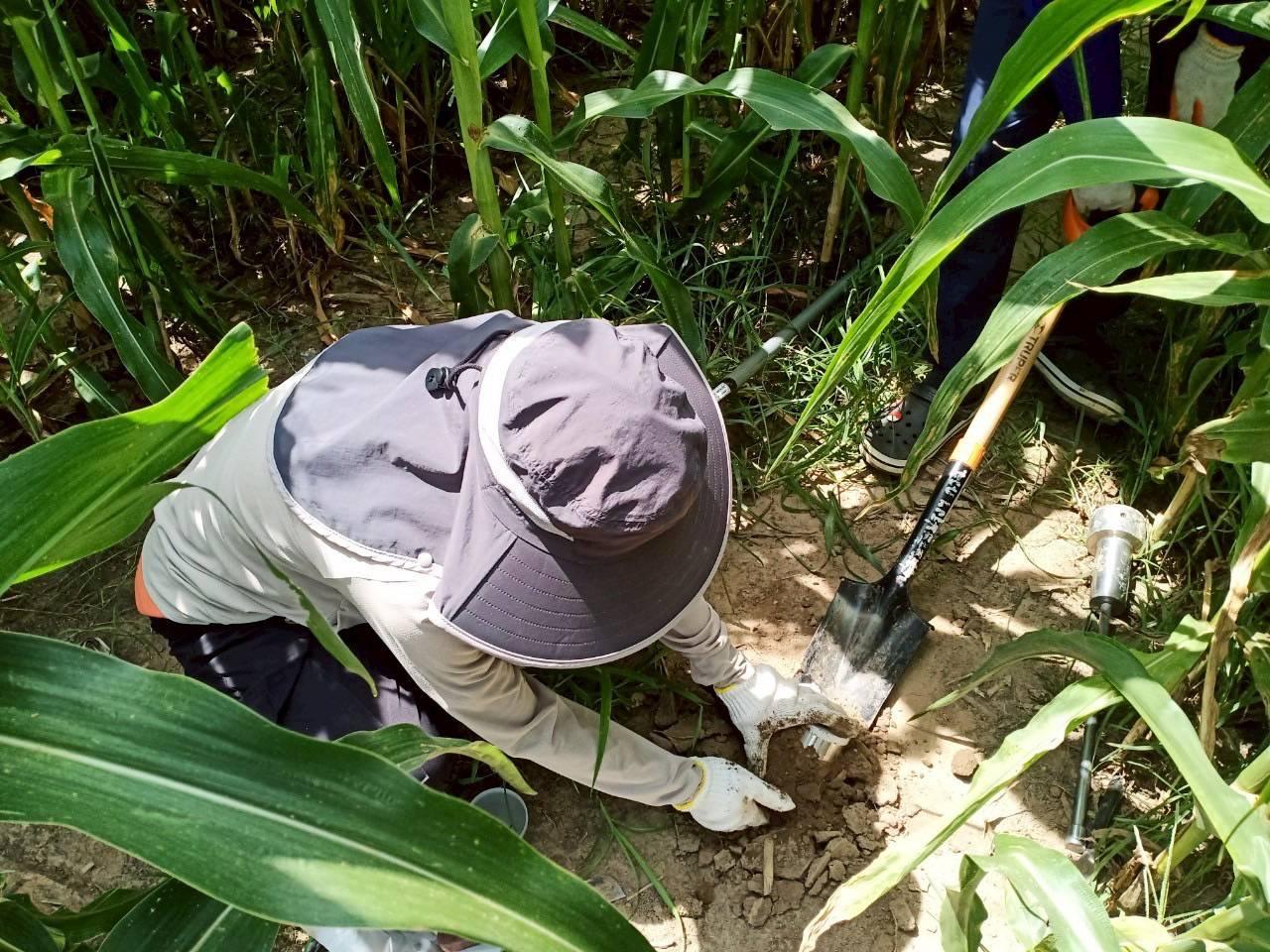 ภาพประกอบที่ 2