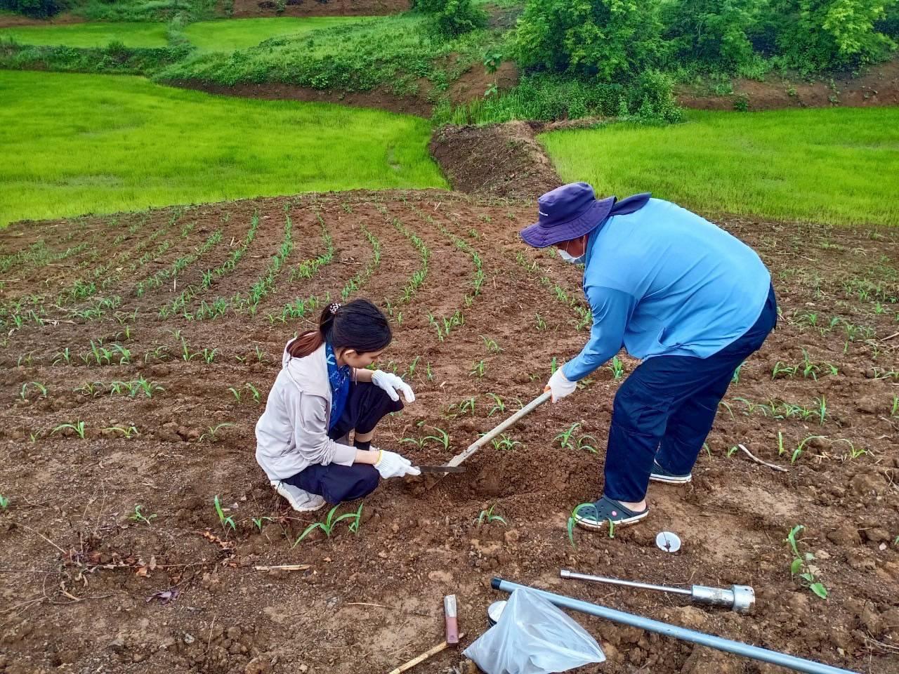 ภาพประกอบที่ 3