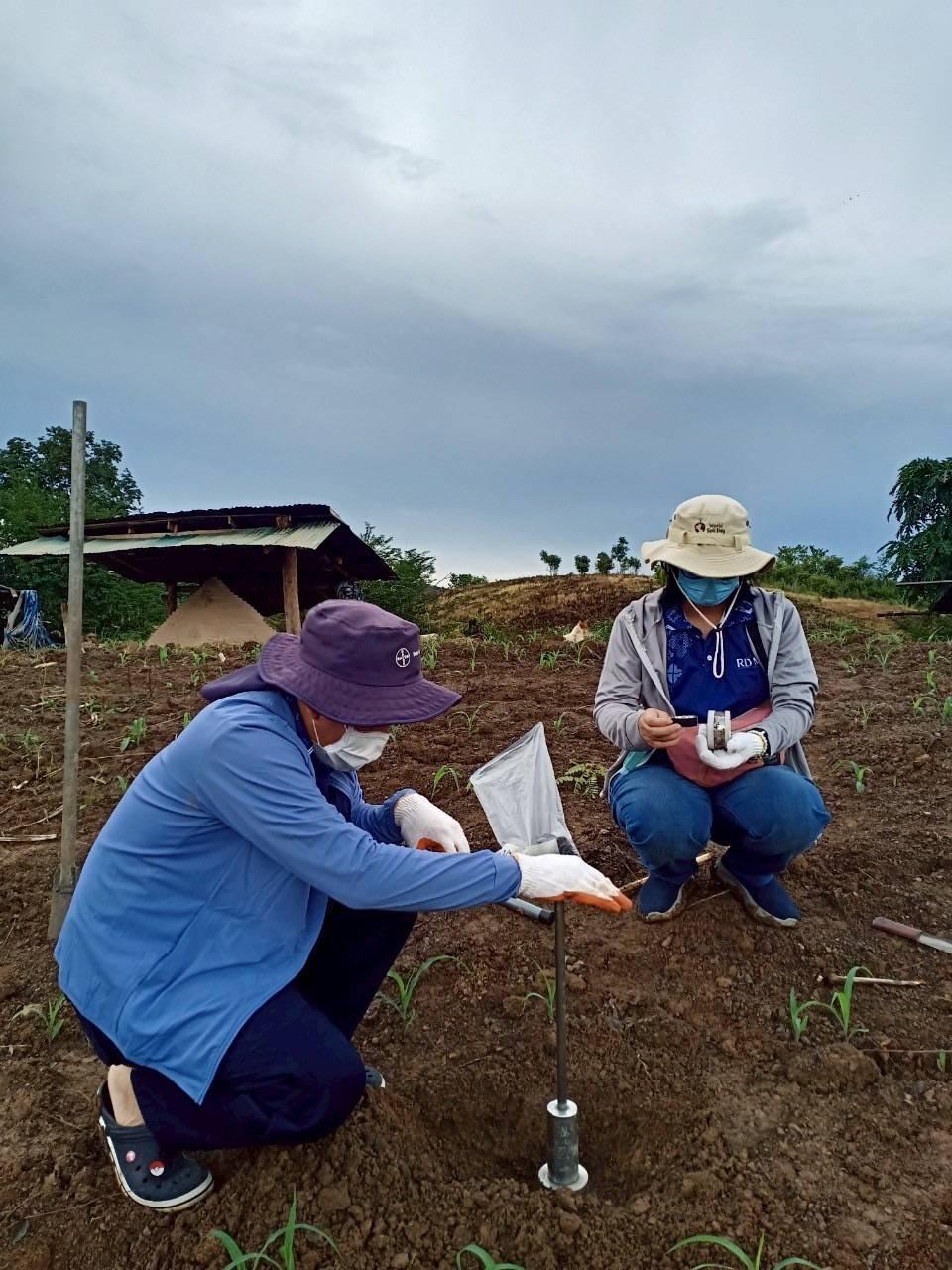 ภาพประกอบที่ 4