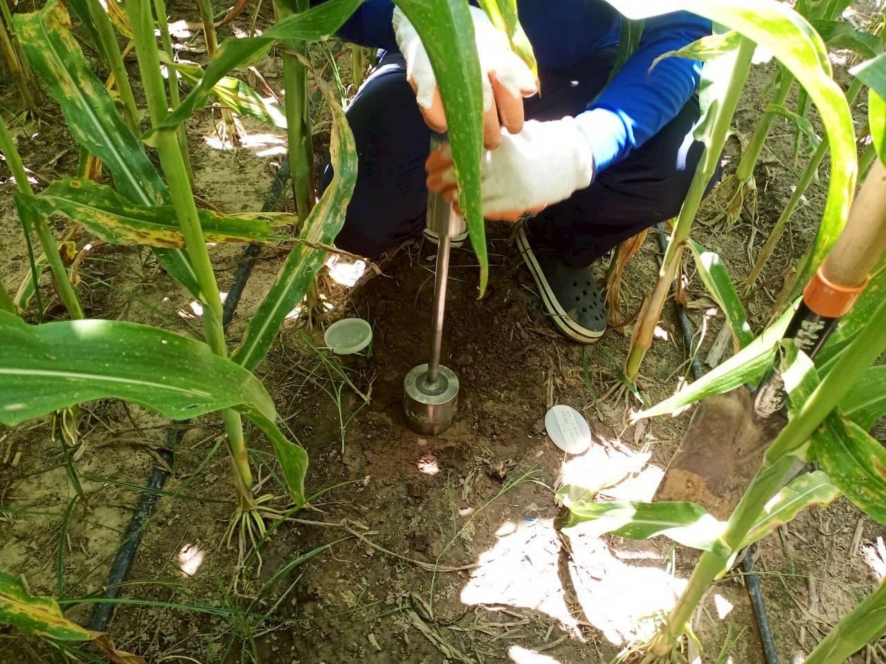 ภาพประกอบที่ 5