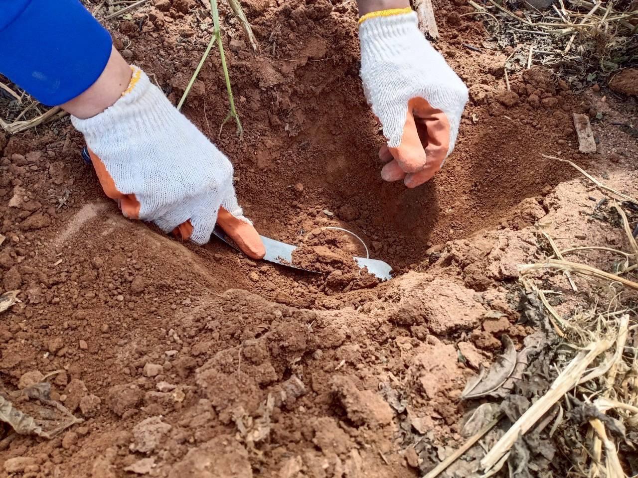 ภาพประกอบที่ 6