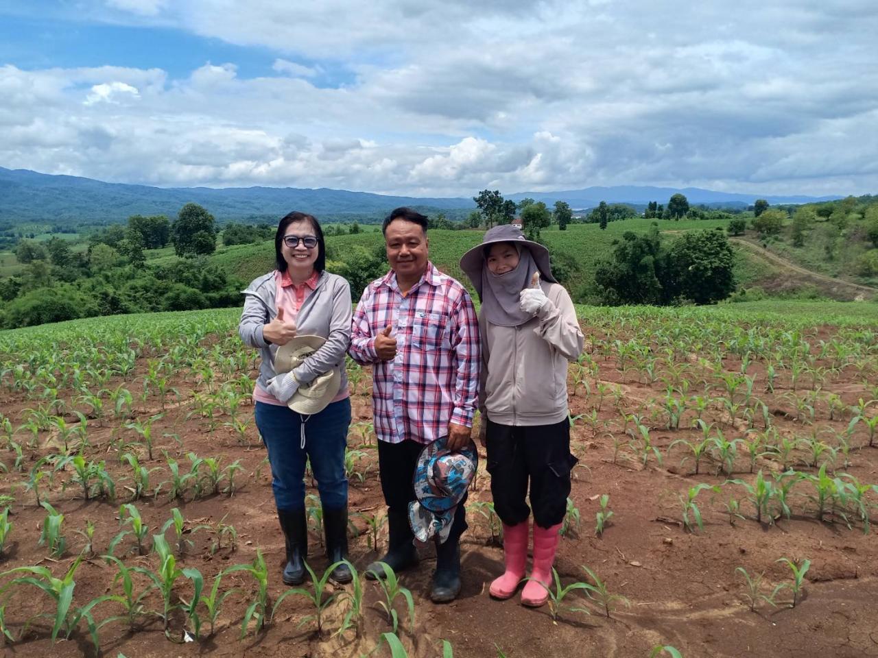 ภาพประกอบที่ 7