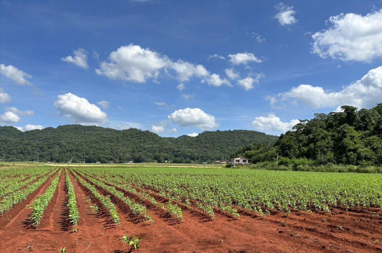 ภาพประกอบที่ 3