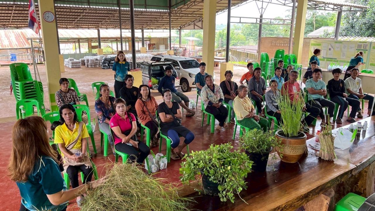 ภาพประกอบที่ 8