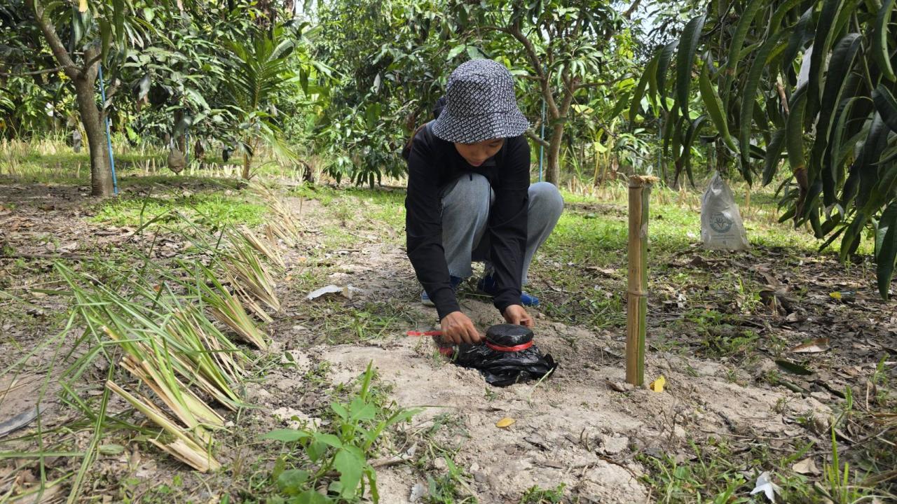 ภาพประกอบที่ 4