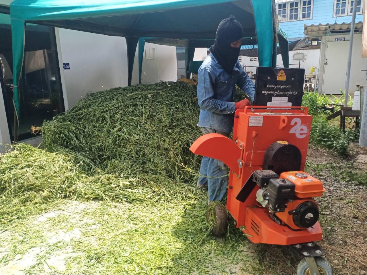 ภาพประกอบที่ 3