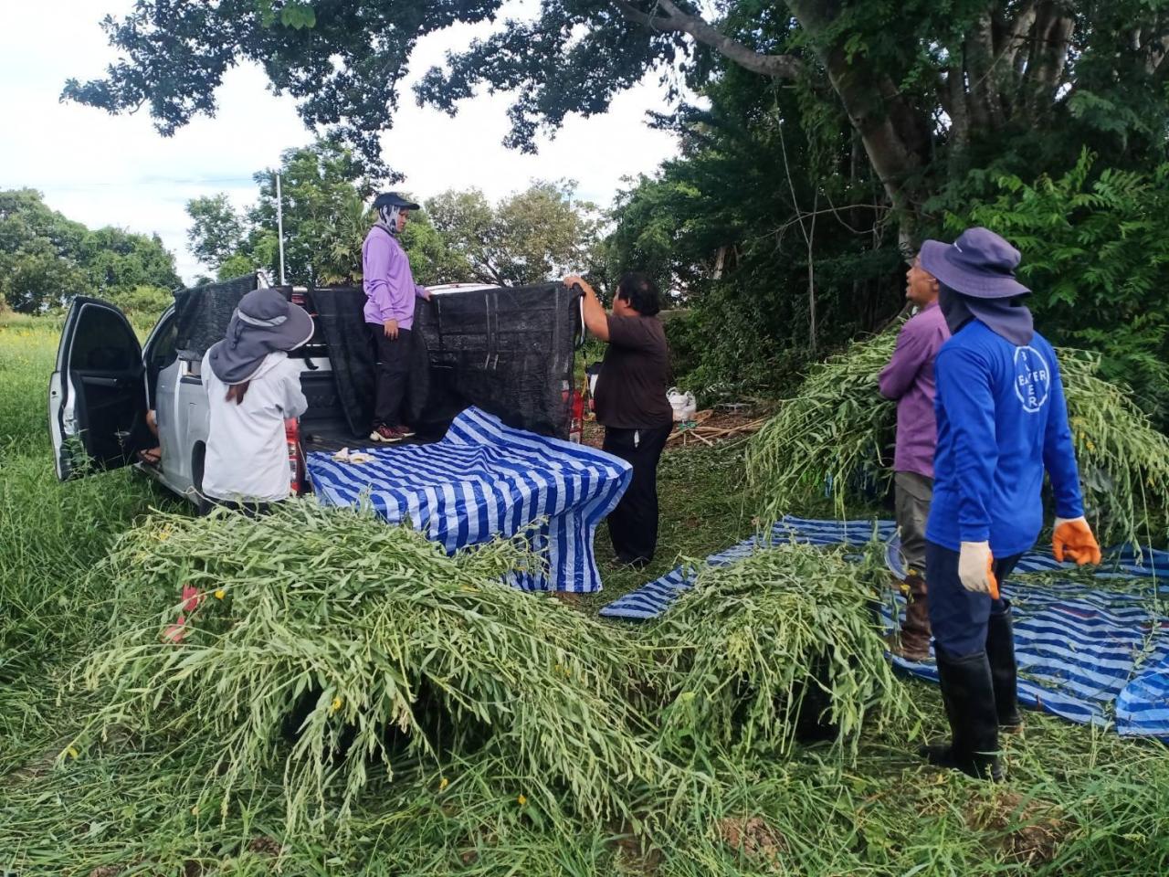 ภาพประกอบที่ 4