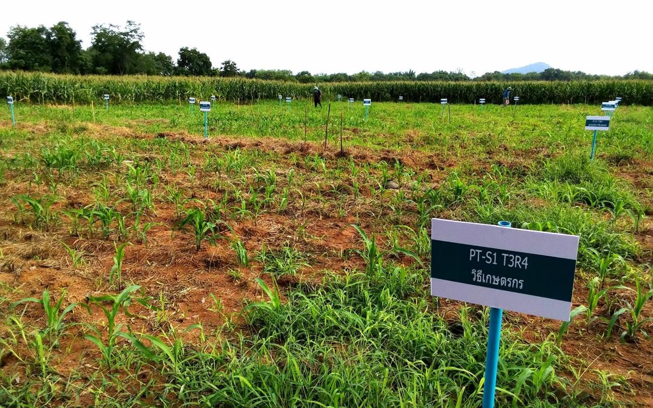 ภาพประกอบที่ 4