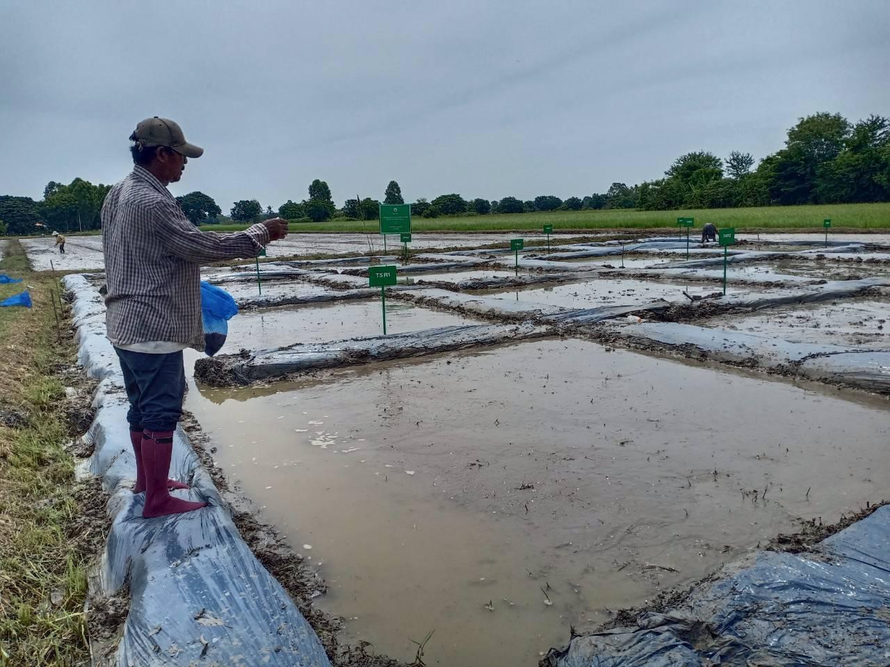 ภาพประกอบที่ 3