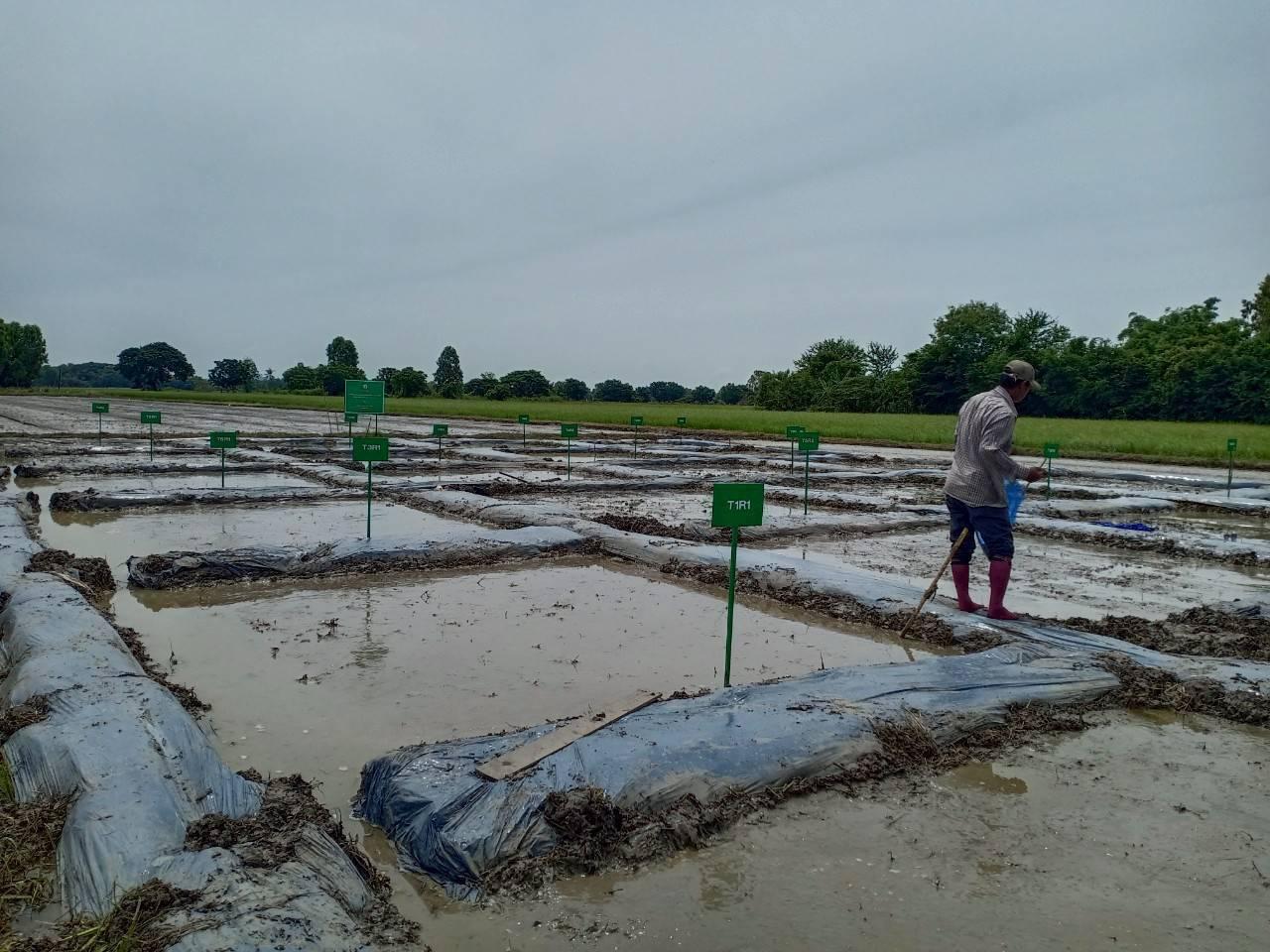 ภาพประกอบที่ 4