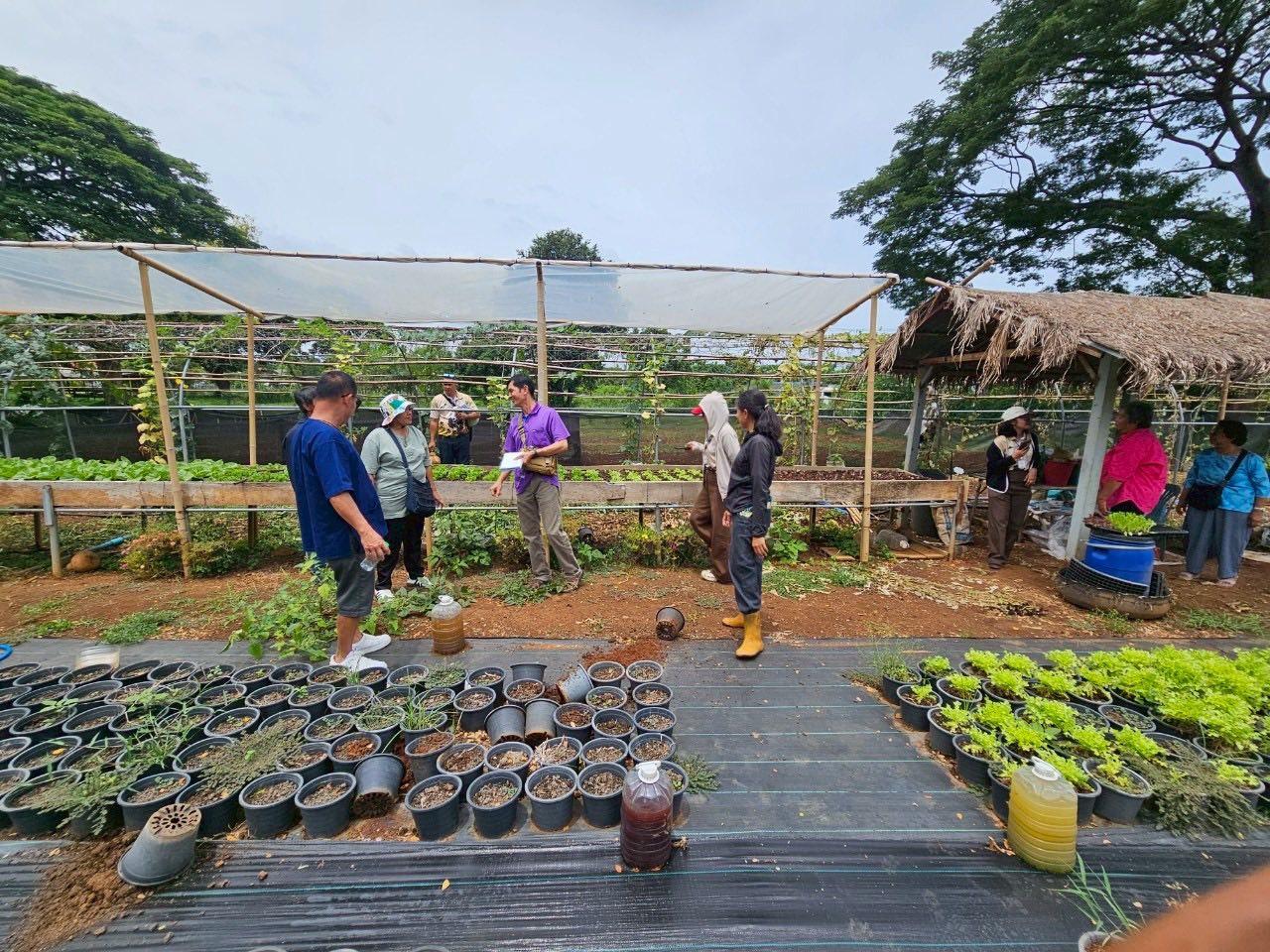 ภาพประกอบที่ 4