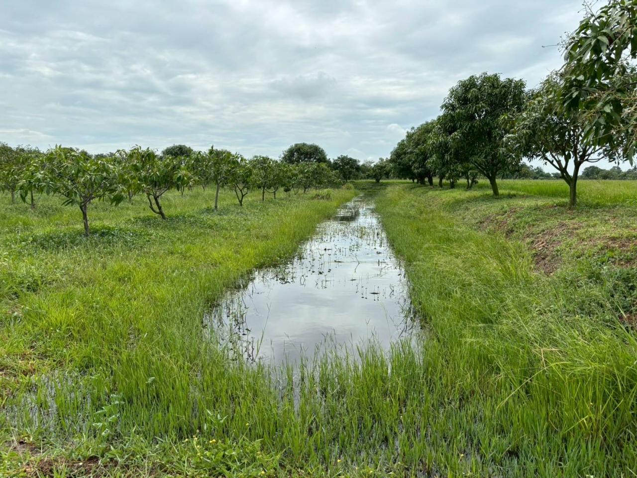 ภาพประกอบที่ 8
