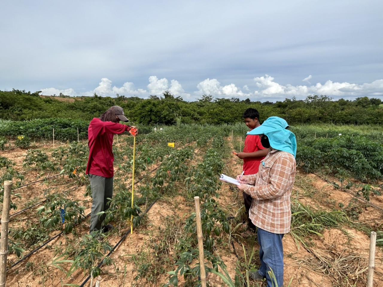 ภาพประกอบที่ 5