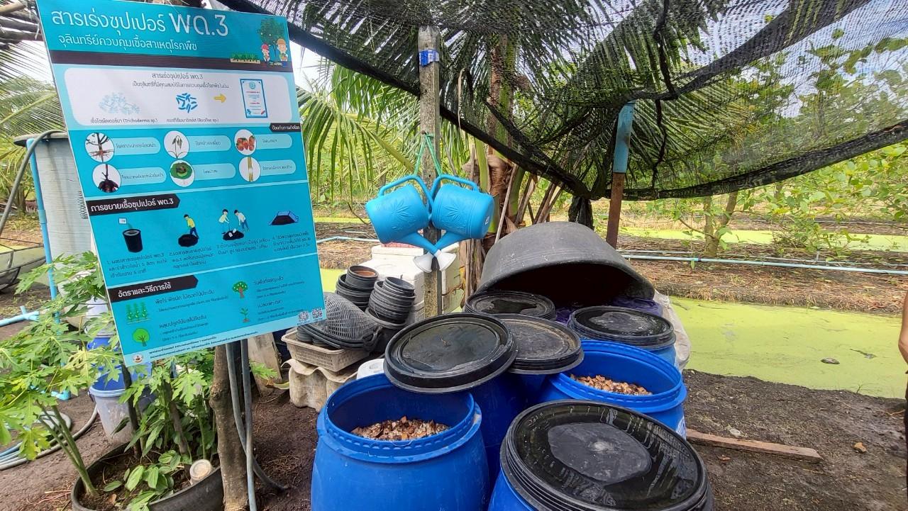 ภาพประกอบที่ 8