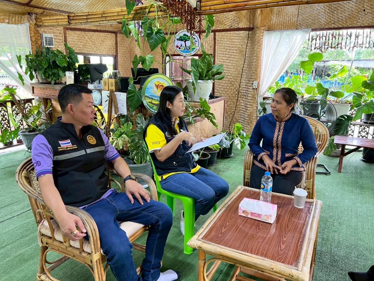 ภาพประกอบที่ 1