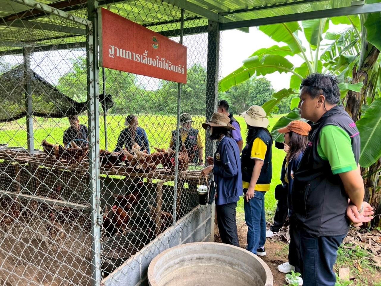 ภาพประกอบที่ 4