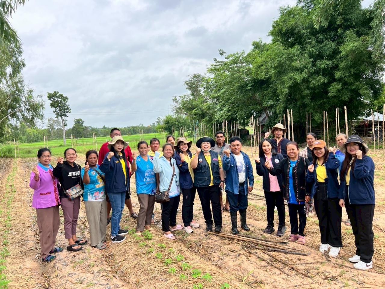 ภาพประกอบที่ 7