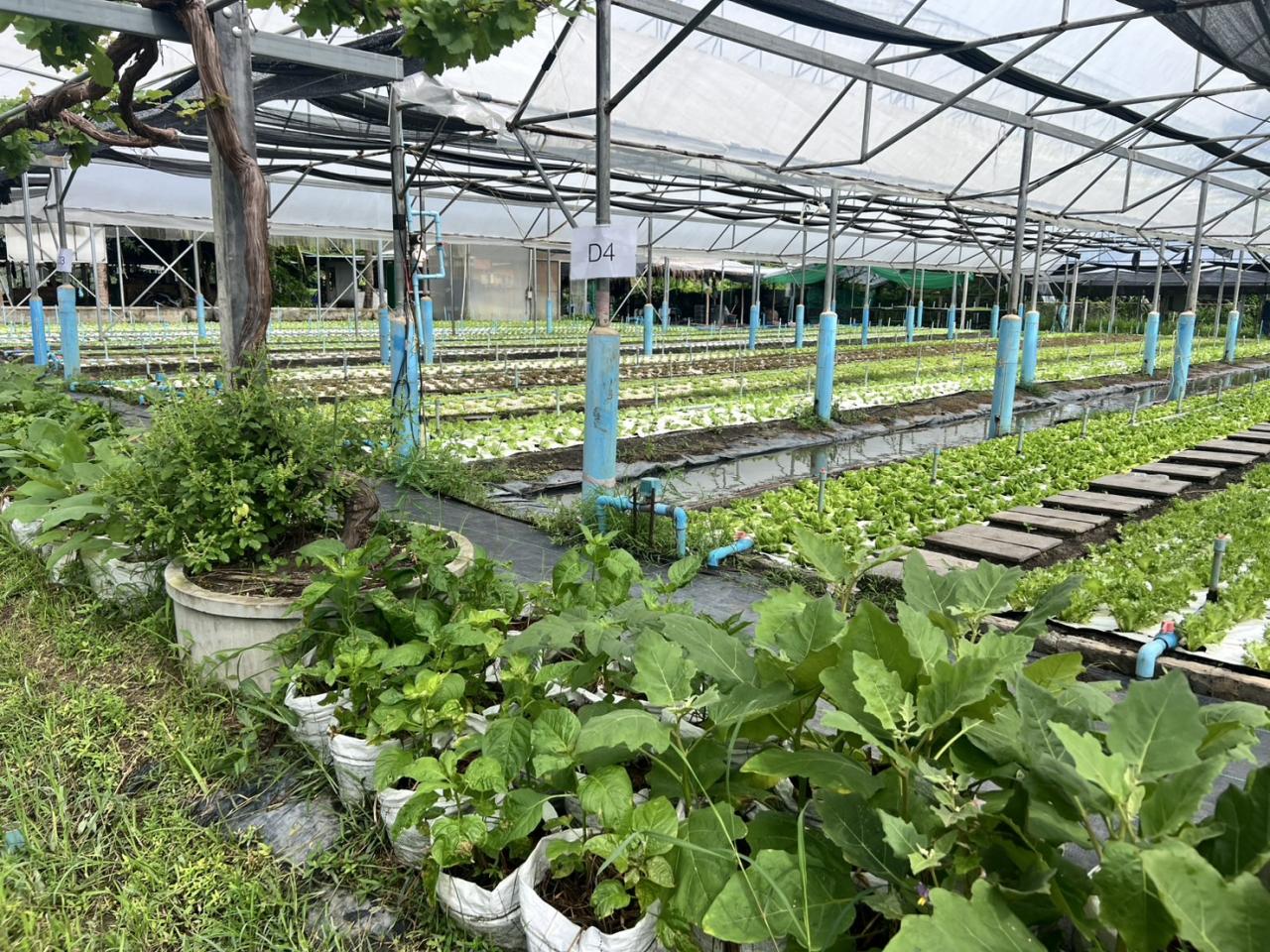 ภาพประกอบที่ 5