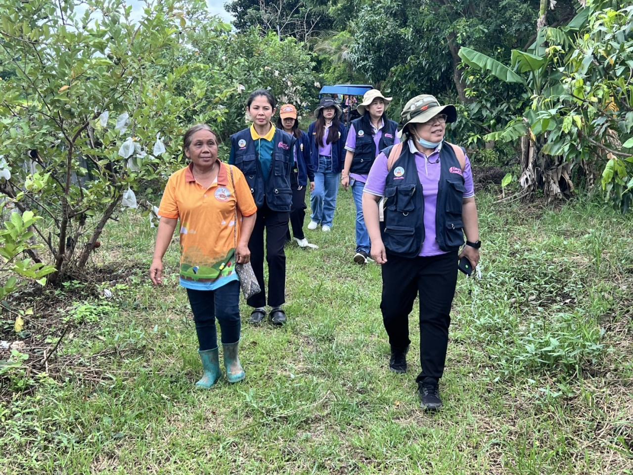 ภาพประกอบที่ 10