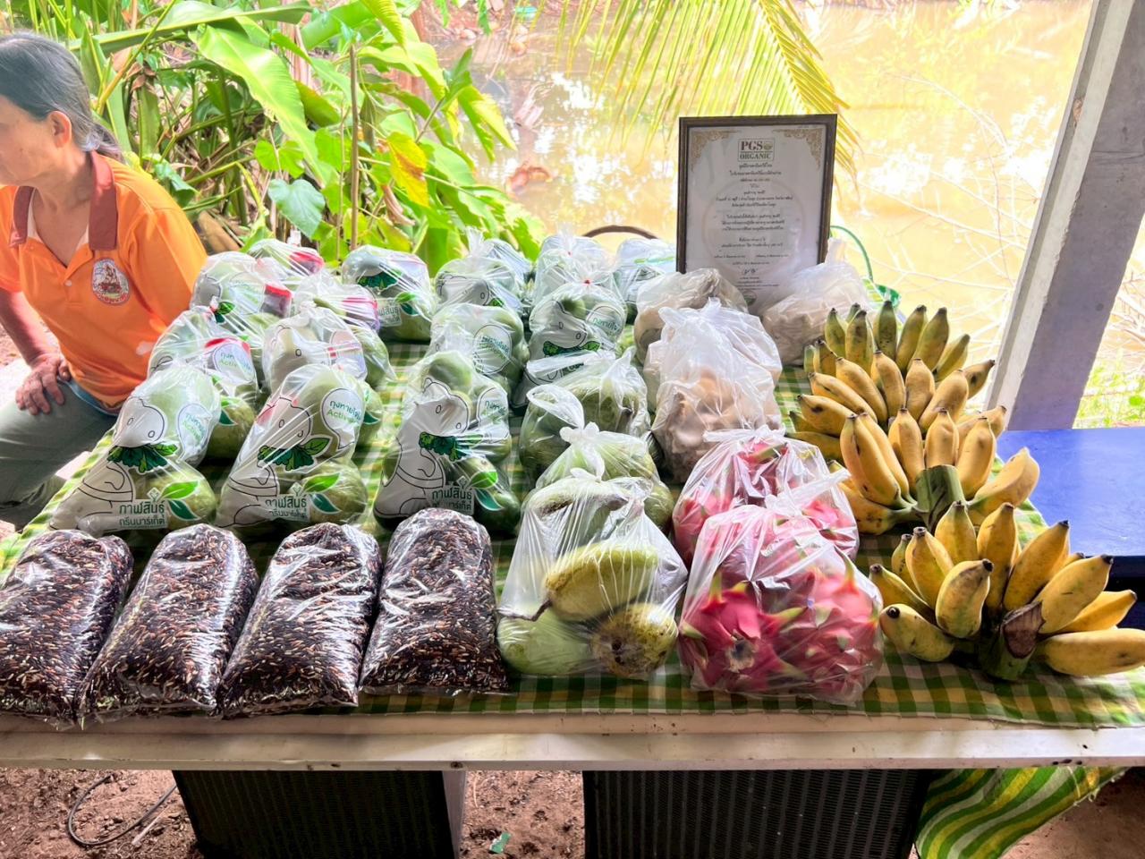 ภาพประกอบที่ 12