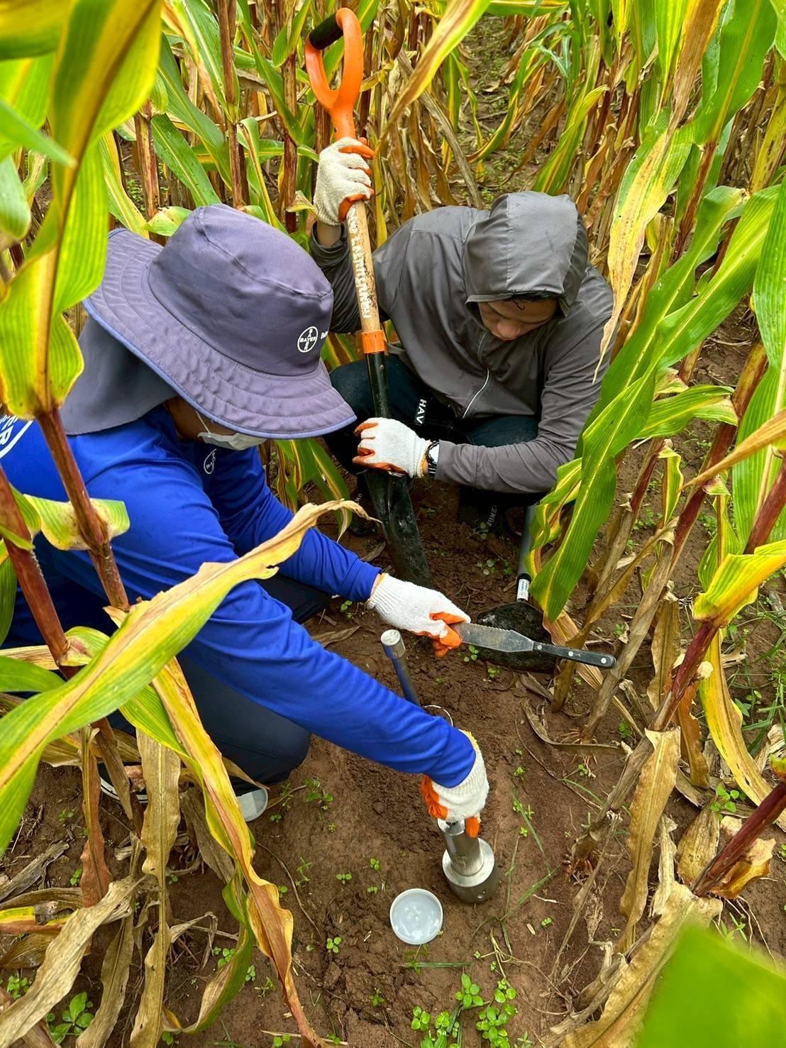 ภาพประกอบที่ 2