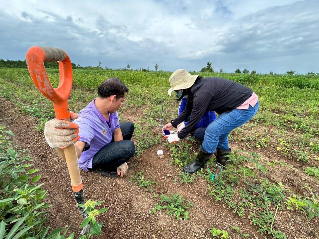 ภาพประกอบที่ 3