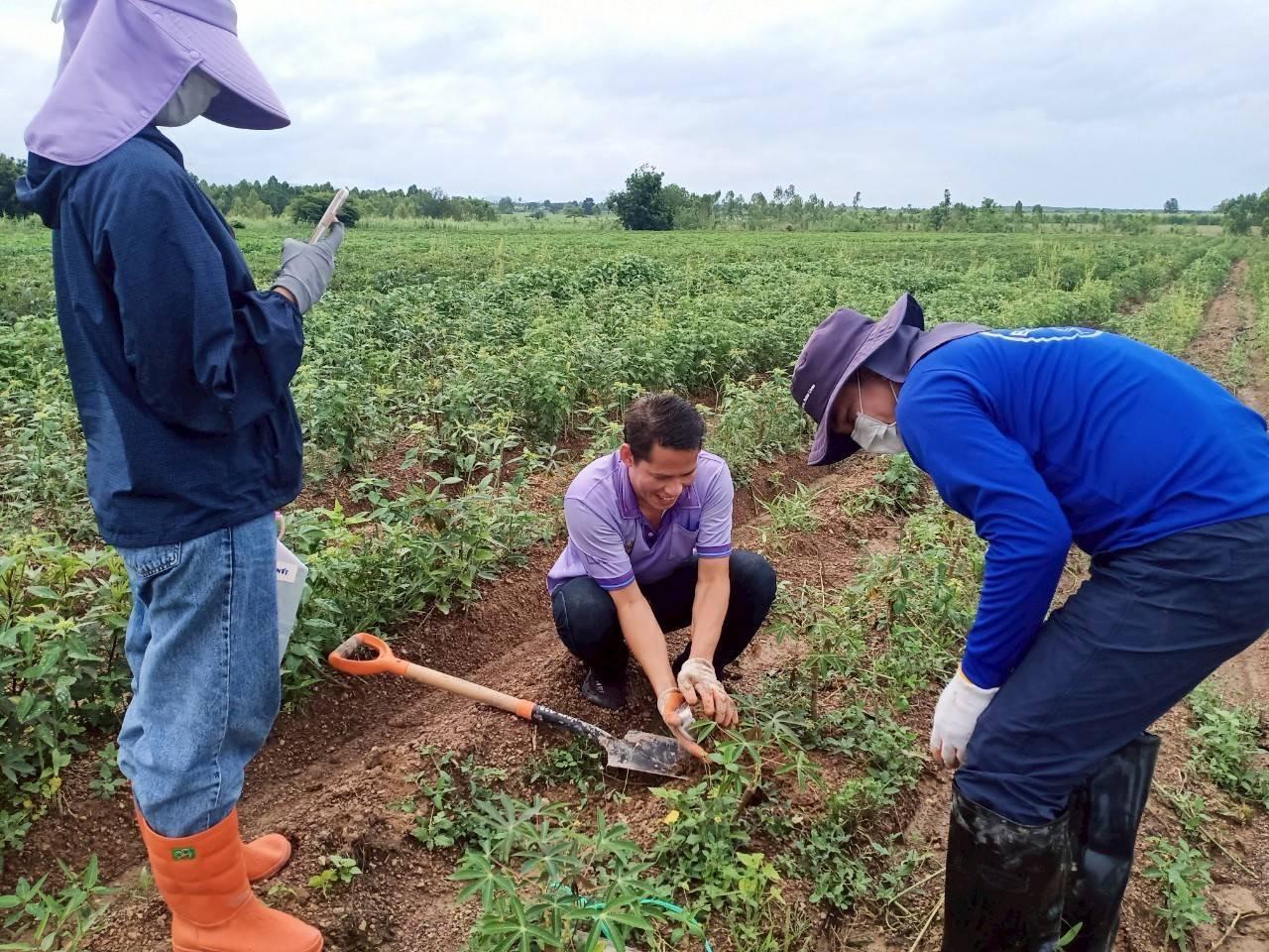 ภาพประกอบที่ 4