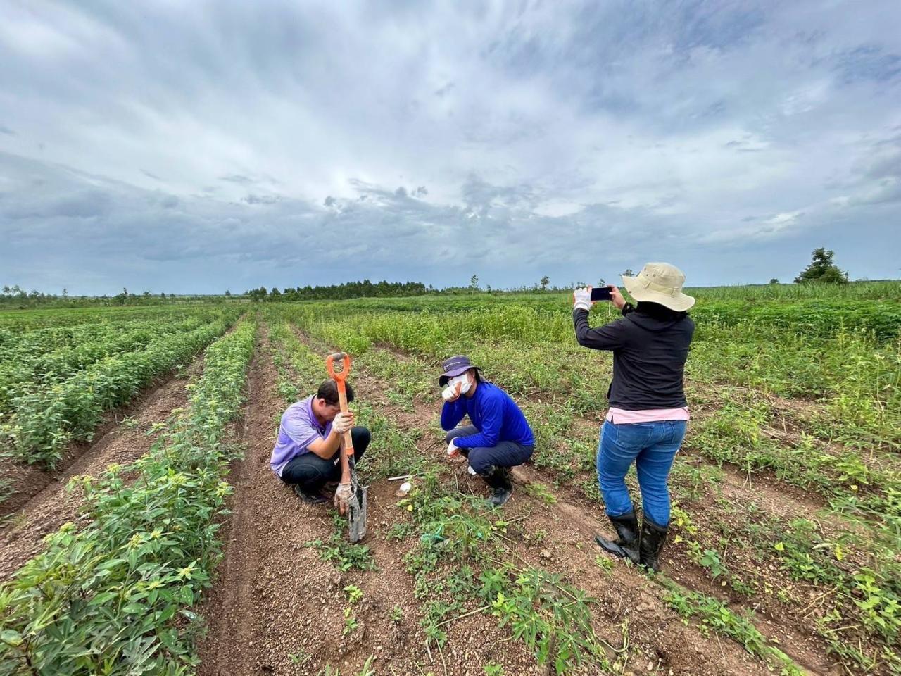 ภาพประกอบที่ 5