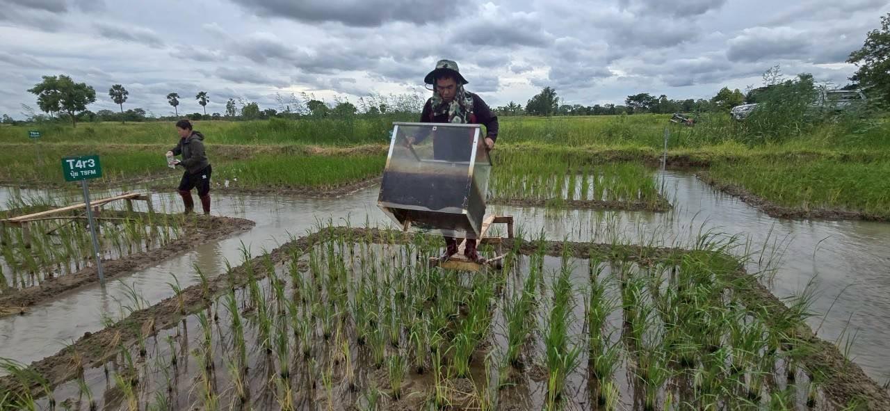 ภาพประกอบที่ 1