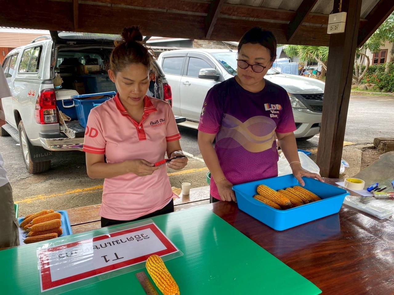 ภาพประกอบที่ 8