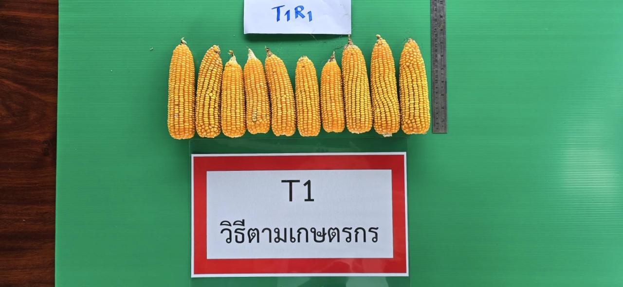 ภาพประกอบที่ 5