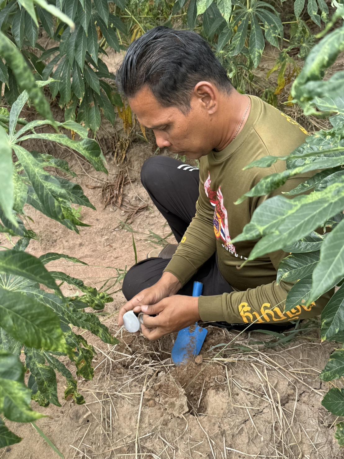 ภาพประกอบที่ 4