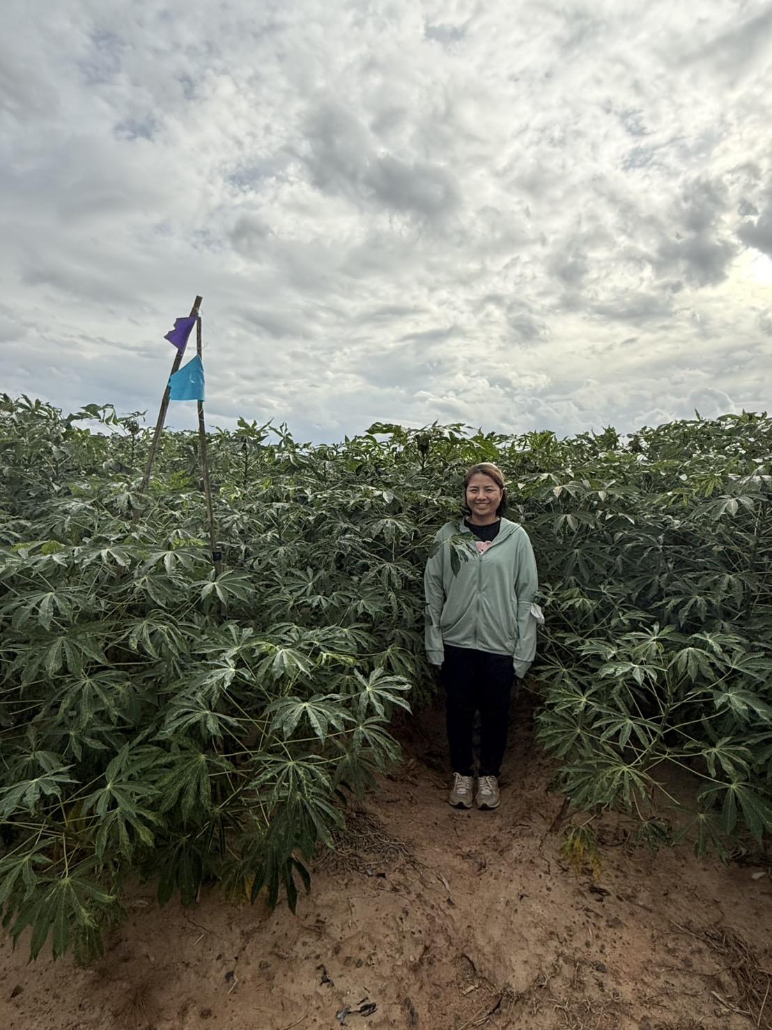 ภาพประกอบที่ 5