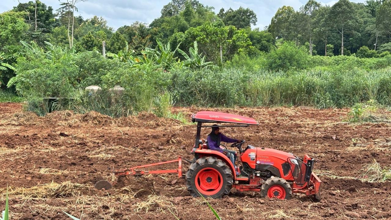 ภาพประกอบที่ 6
