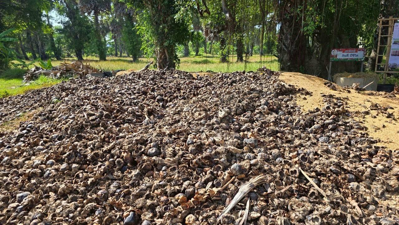 ภาพประกอบที่ 6