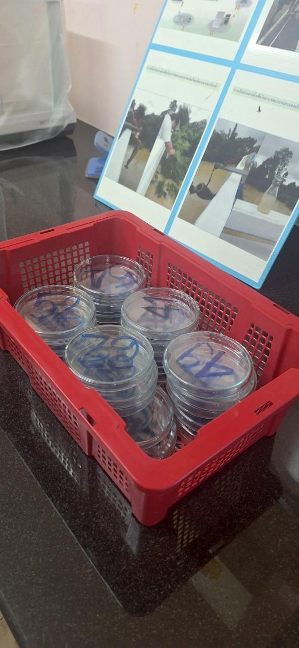 ภาพประกอบที่ 3